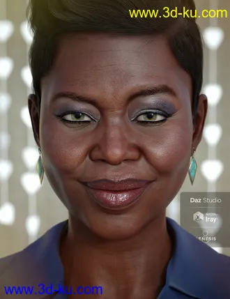 Nida 8模型的图片12