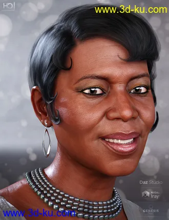 Nida 8模型的图片16