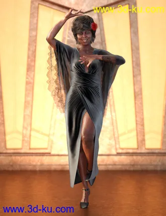 Nida 8模型的图片18