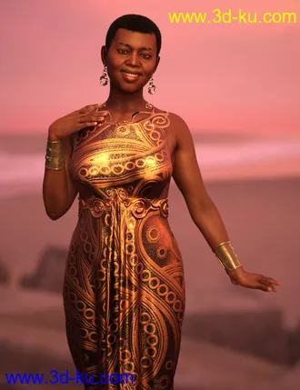 Nida 8模型的图片21