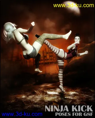 3D打印模型Ninja Kick Poses for G8F的图片