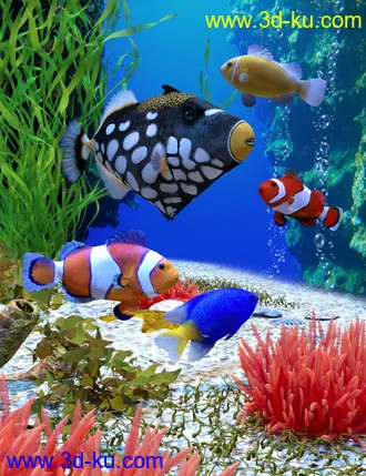 3D打印模型Ocean Wonders的图片