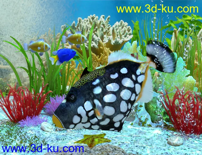 Ocean Wonders模型的图片2