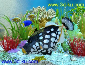 3D打印模型Ocean Wonders的图片