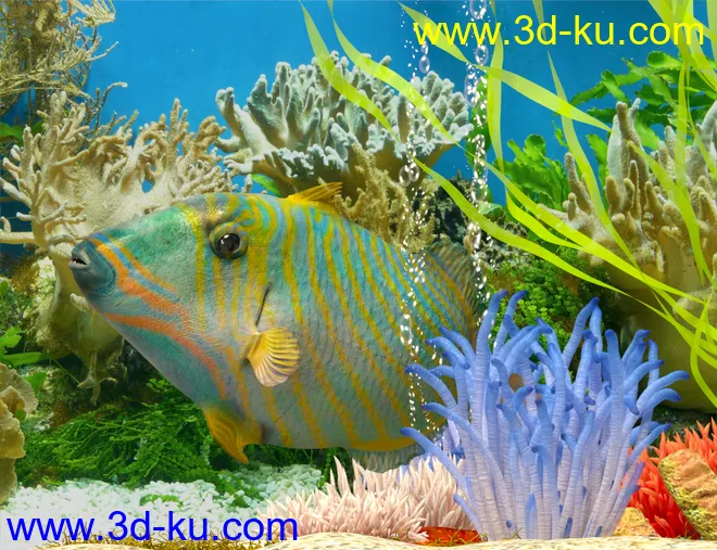 Ocean Wonders模型的图片4