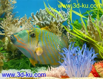 3D打印模型Ocean Wonders的图片