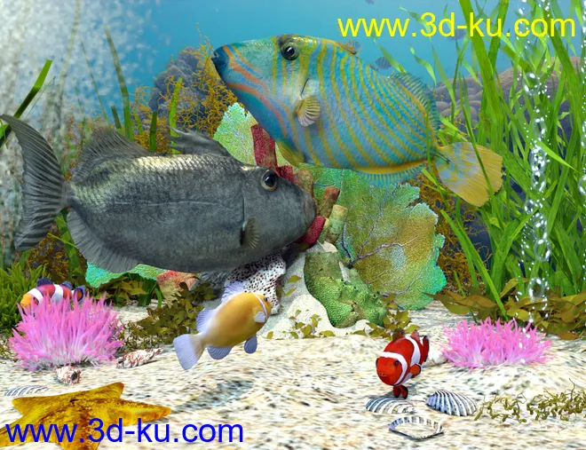 Ocean Wonders模型的图片6