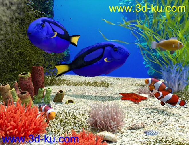 Ocean Wonders模型的图片7