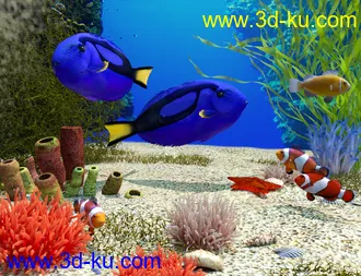 3D打印模型Ocean Wonders的图片
