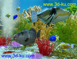 3D打印模型Ocean Wonders的图片
