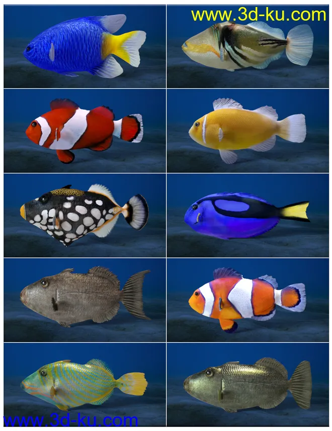 Ocean Wonders模型的图片9
