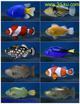 3D打印模型Ocean Wonders的图片
