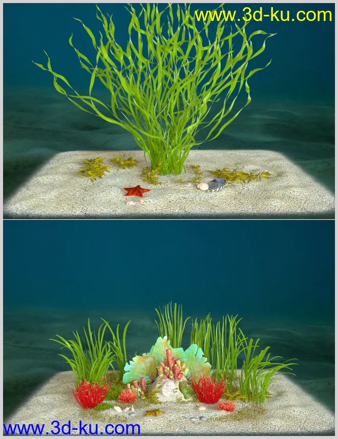Ocean Wonders模型的图片10