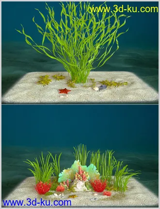 3D打印模型Ocean Wonders的图片