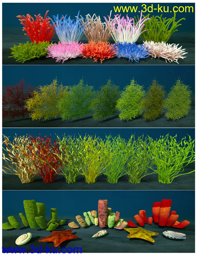 Ocean Wonders模型的图片11