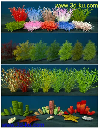 3D打印模型Ocean Wonders的图片