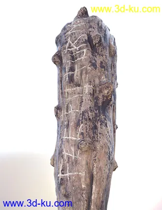 3D打印模型Ogre Club的图片