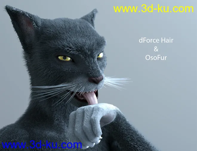 OsoDreamer's FelineFolk for Genesis 8 Female模型的图片3