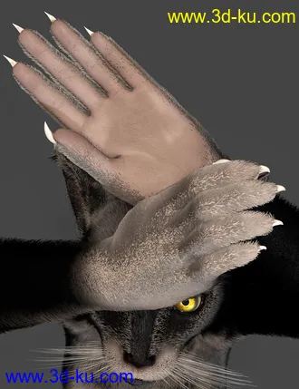 3D打印模型OsoDreamer's FelineFolk for Genesis 8 Female的图片
