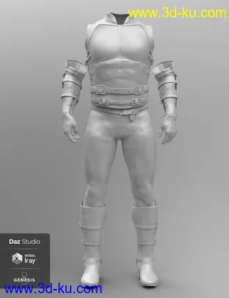 3D打印模型Paladin of Solitude Outfit for Genesis 8 Male(s)的图片