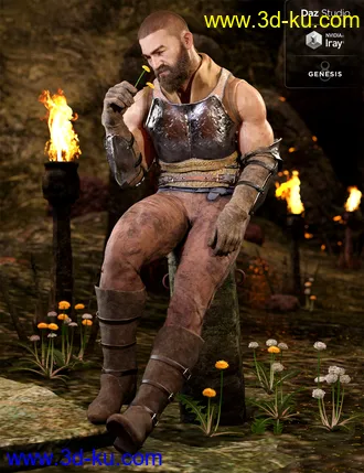 3D打印模型Paladin of Solitude Outfit for Genesis 8 Male(s)的图片
