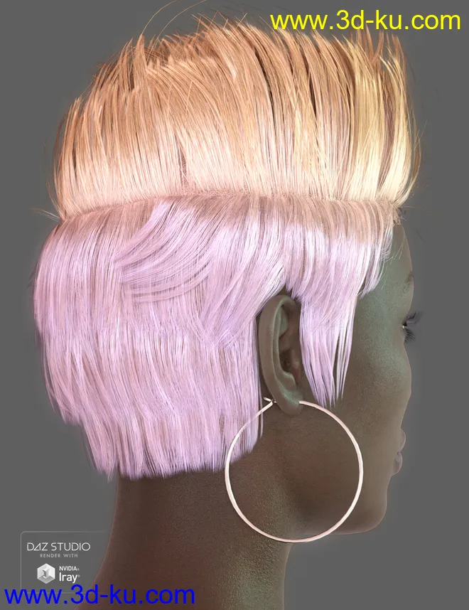Parece Hair for Genesis 3 and 8 Female(s)模型的图片10