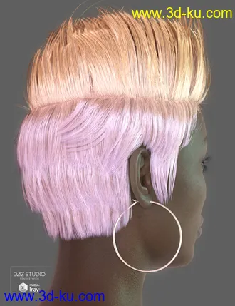 3D打印模型Parece Hair for Genesis 3 and 8 Female(s)的图片