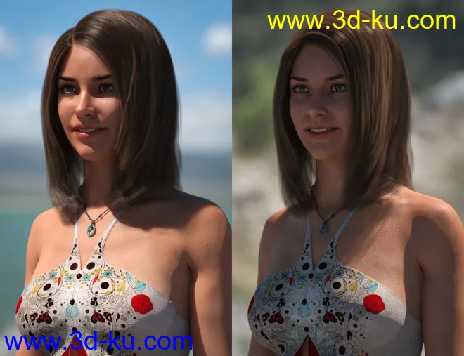 Platinum Pack Two - 16k HDRIs for Iray模型的图片3