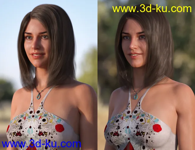 Platinum Pack Two - 16k HDRIs for Iray模型的图片9