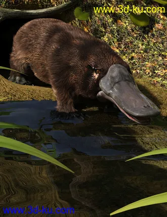 3D打印模型Platypus by AM的图片