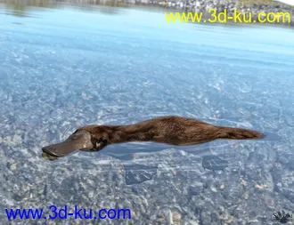 3D打印模型Platypus by AM的图片