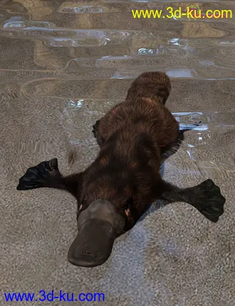 3D打印模型Platypus by AM的图片