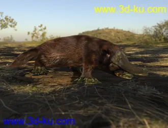 3D打印模型Platypus by AM的图片