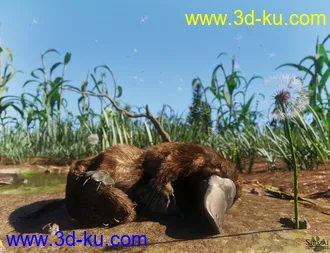 3D打印模型Platypus by AM的图片
