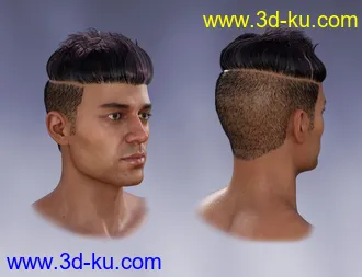 3D打印模型Pop Star Outfit and Hair for Diego 8 and Genesis 8 Male(s)的图片