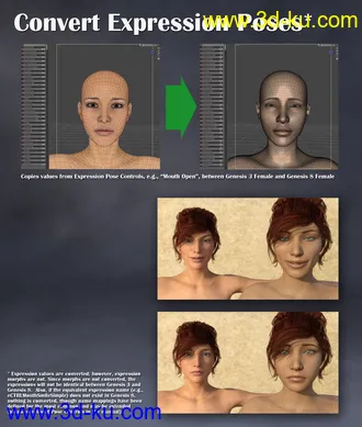 3D打印模型Props & Poses Converter from Genesis 3 Female to Genesis 8 Female的图片