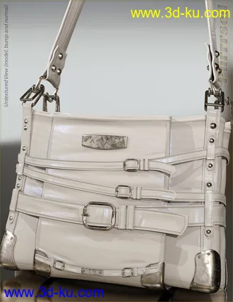 3D打印模型Purrrsed Purse and Poses for Genesis 8 Female(s)的图片