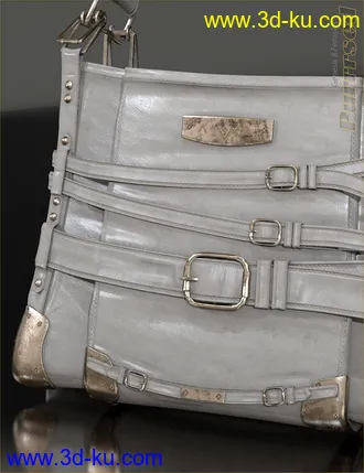 3D打印模型Purrrsed Purse and Poses for Genesis 8 Female(s)的图片