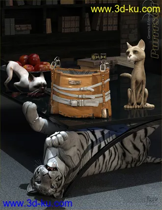 3D打印模型Purrrsed Purse and Poses for Genesis 8 Female(s)的图片
