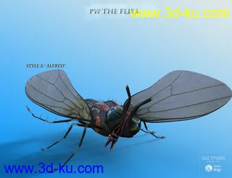 3D打印模型PW The Flies的图片