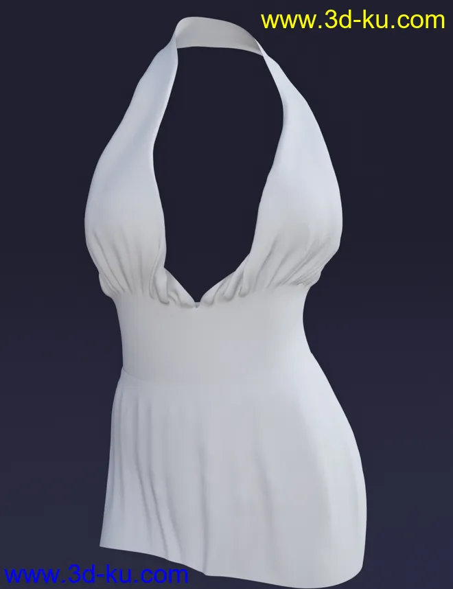 Riviera Swim for Genesis 8 Female(s)模型的图片11