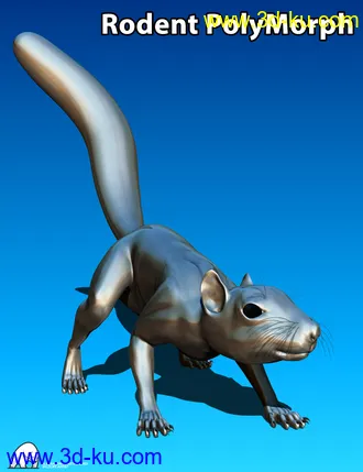 3D打印模型Rodent Base by AM的图片