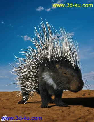 3D打印模型Rodents by AM - Crested Porcupine的图片