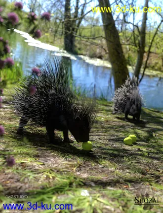 3D打印模型Rodents by AM - Crested Porcupine的图片