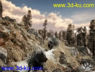 3D打印模型Rodents by AM - Crested Porcupine的图片