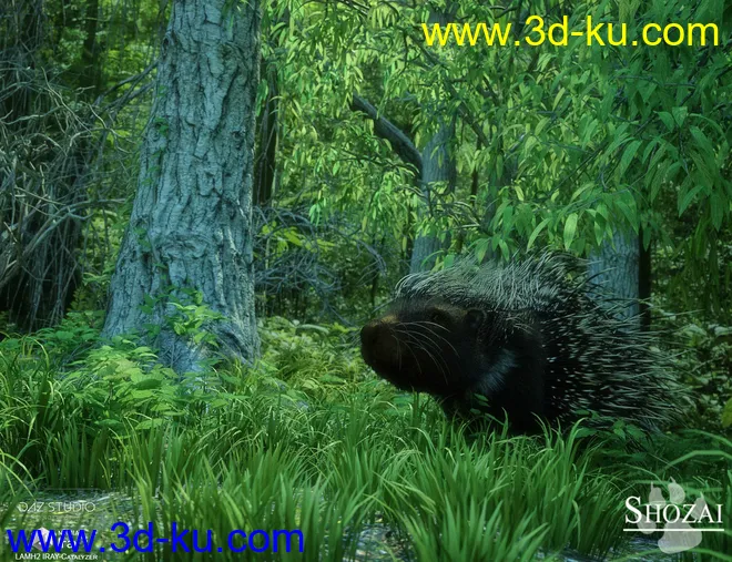 Rodents by AM - Crested Porcupine模型的图片5