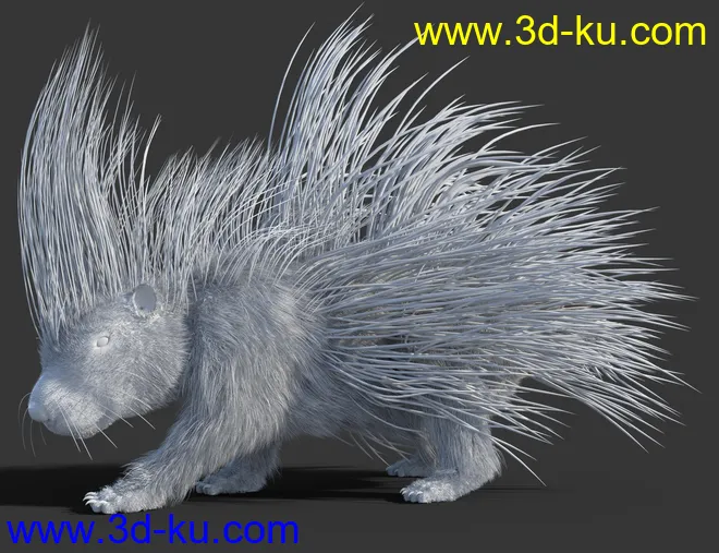 Rodents by AM - Crested Porcupine模型的图片7