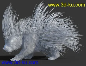 3D打印模型Rodents by AM - Crested Porcupine的图片