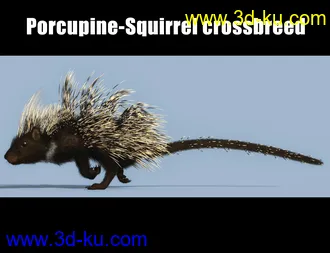 3D打印模型Rodents by AM - Crested Porcupine的图片