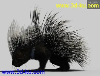 3D打印模型Rodents by AM - Crested Porcupine的图片